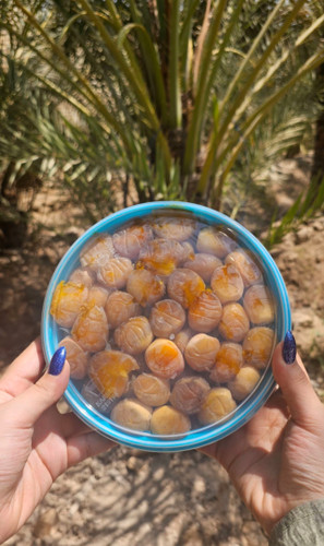 خرما برحی آبادان عسلی تازه و خوشمزه